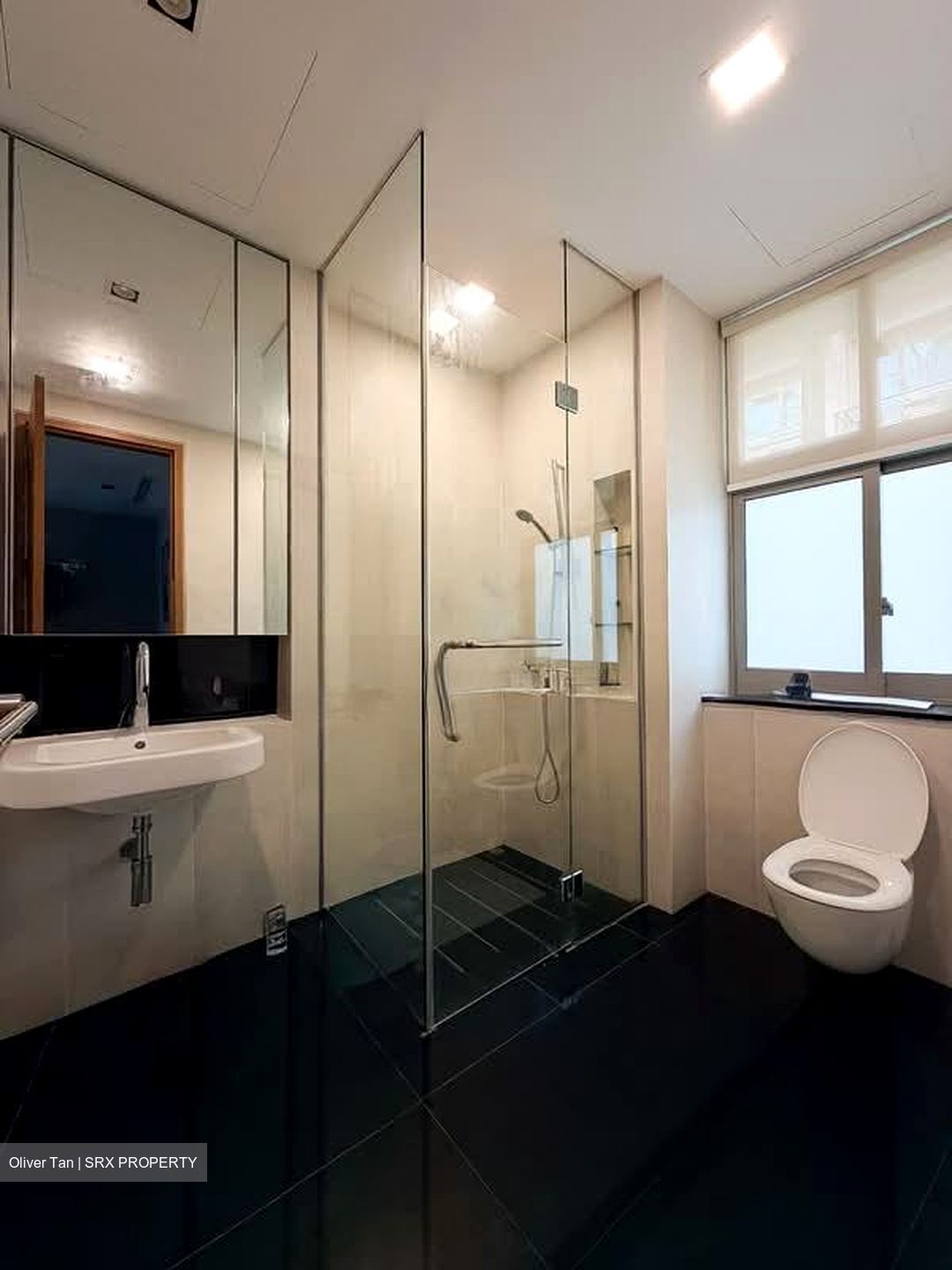 Tanglin Residences (D10), Condominium #535856991